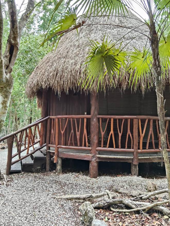 Cabaña de madera con techo de palma
